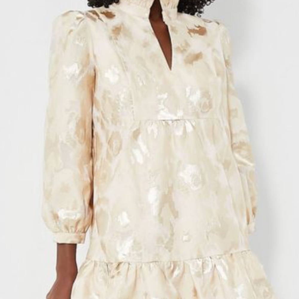 Tuckernuck Palmerston Champagne Fil Coupe Dress